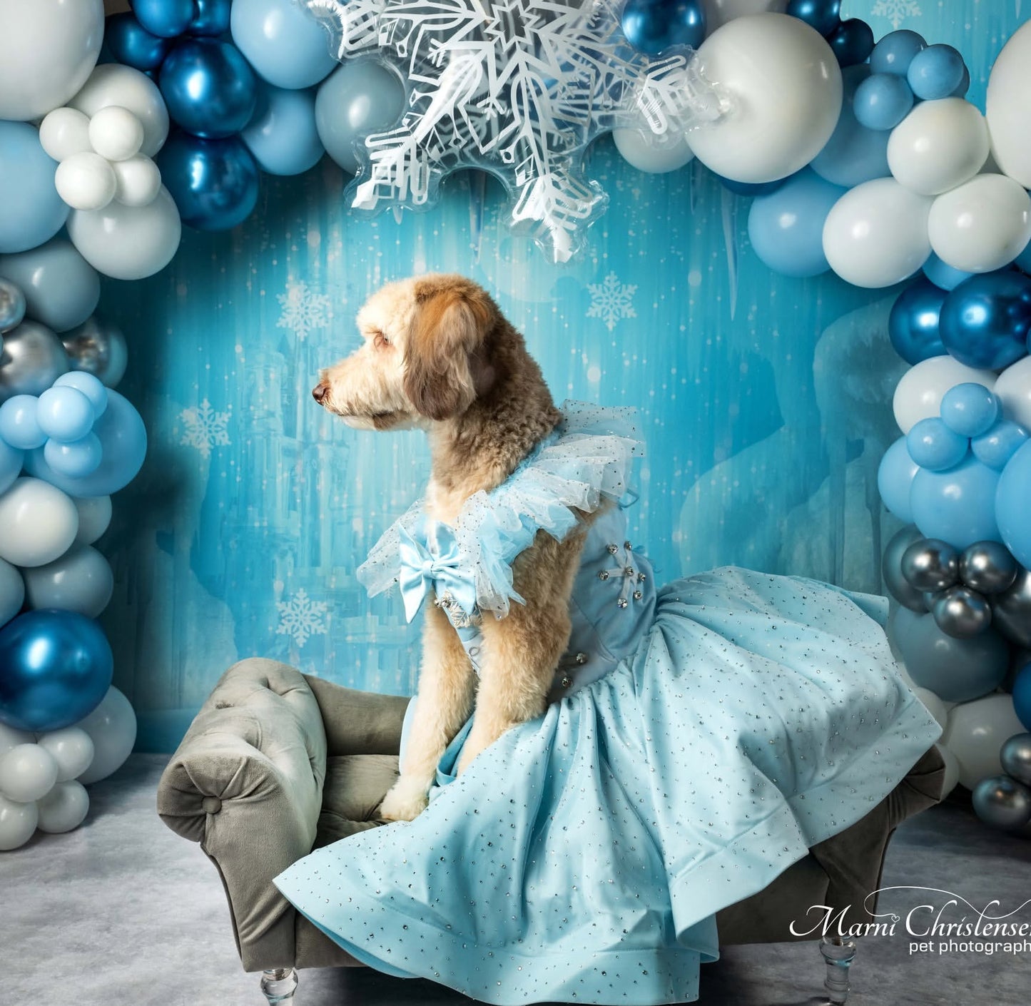 Princess Puppy Outfit