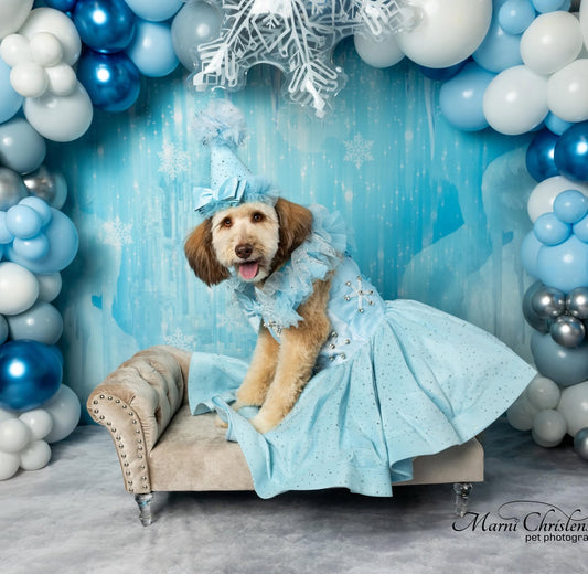 Princess Puppy Outfit