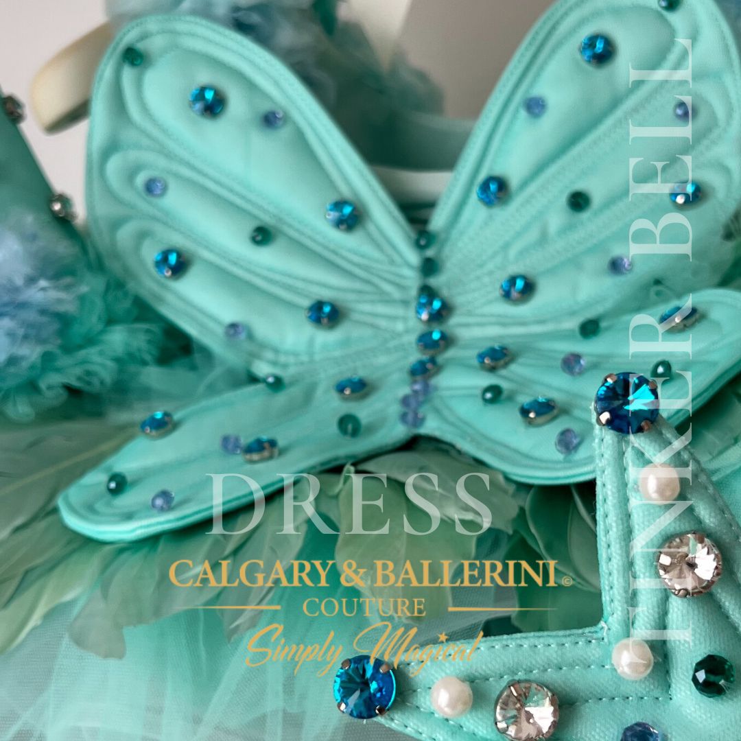 Pixie Storybook Fairy Birthday Dress (Age 14) | Calgary & Ballerini Pixie Storybook Fairy Birthday Dress (Age 14) | Calgary & Ballerini