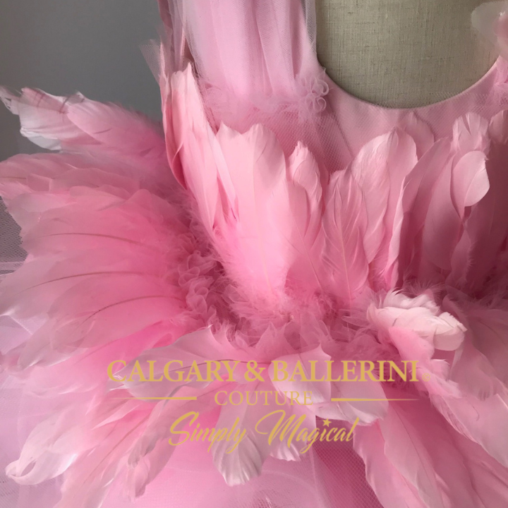 Baby Pink Feather Dress Girls (Ages 6M–6Y) Birthday Party Outfit