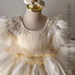Ivory dress with veil for girls