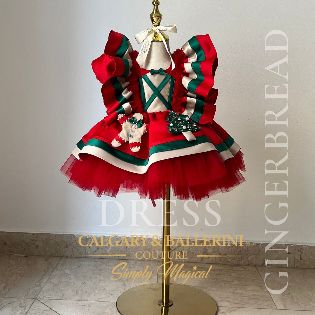 Girls Christmas outfit for family photos and celebrations