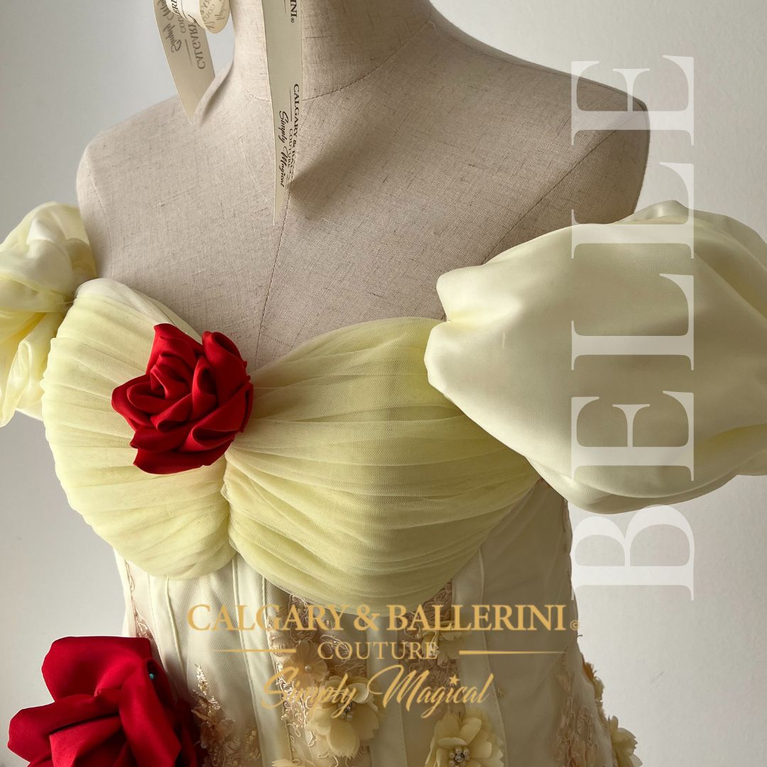 Handmade Belle Costume with Corset and Lace Details