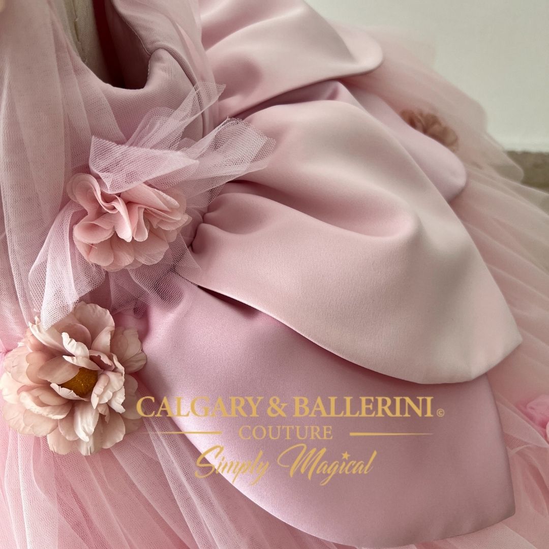 buy birthday party Handmade pink fairy dress with butterflies and flowers, luxury light pink tulle birthday gown, boutique heirloom couture for garden party portraits, Calgary and Ballerini.