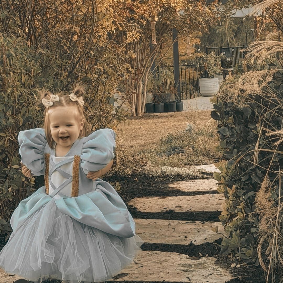 infant princess dress Cinderella Carriage Baby Princess Dress by Calgary and Ballerini