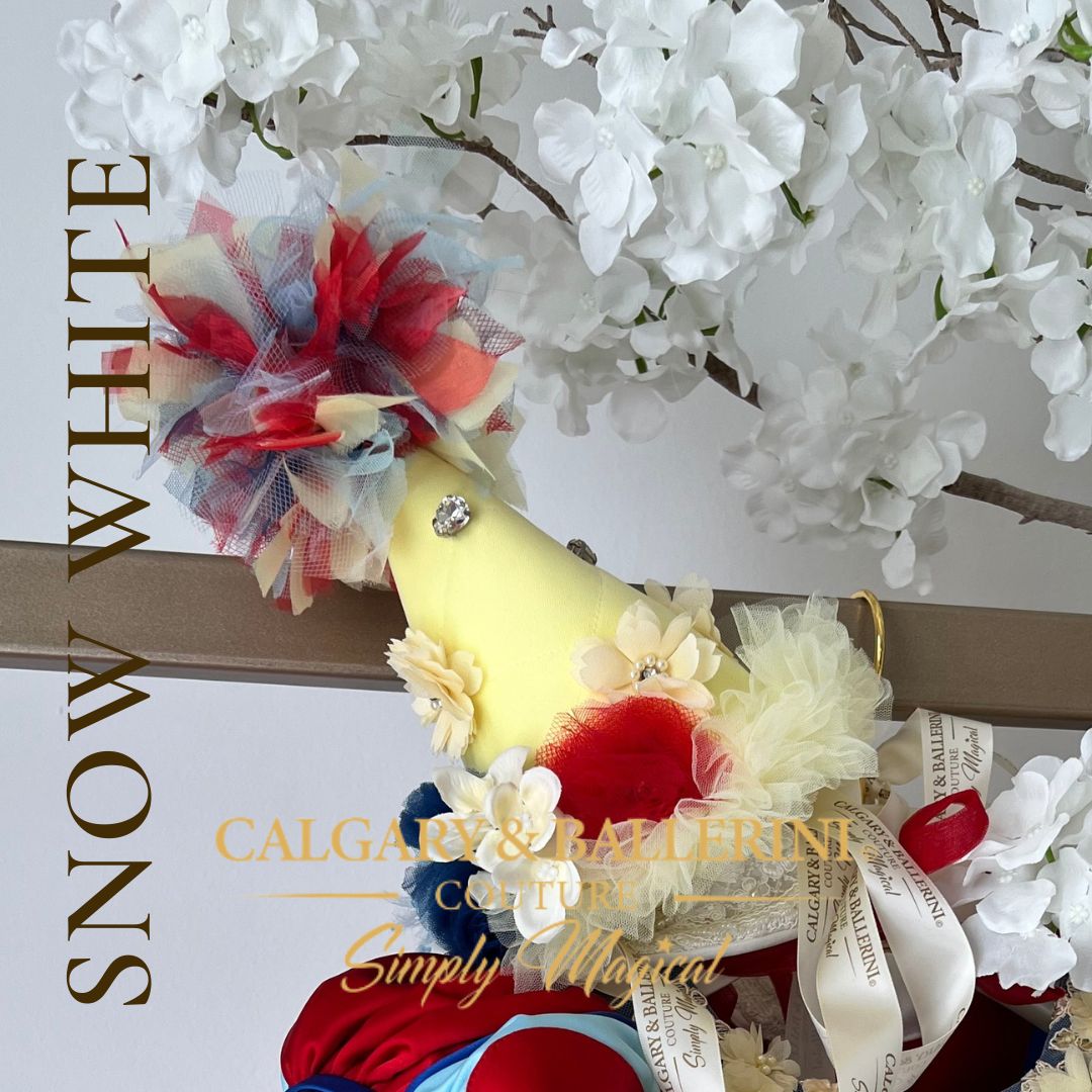 shop Heirloom Snow White Birthday Hat for Babies – High-End Vintage Style First Birthday Party Hat for Princess Themed Milestone Portraits, Calgary and Ballerini.