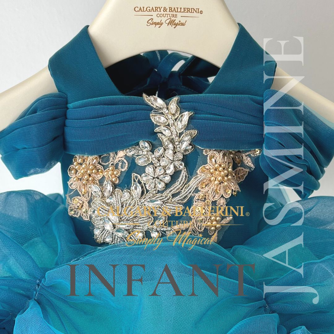 Disney Aladdin Princess Jasmine costume close up  blue tulle  bodice and gold beaded lace trim 