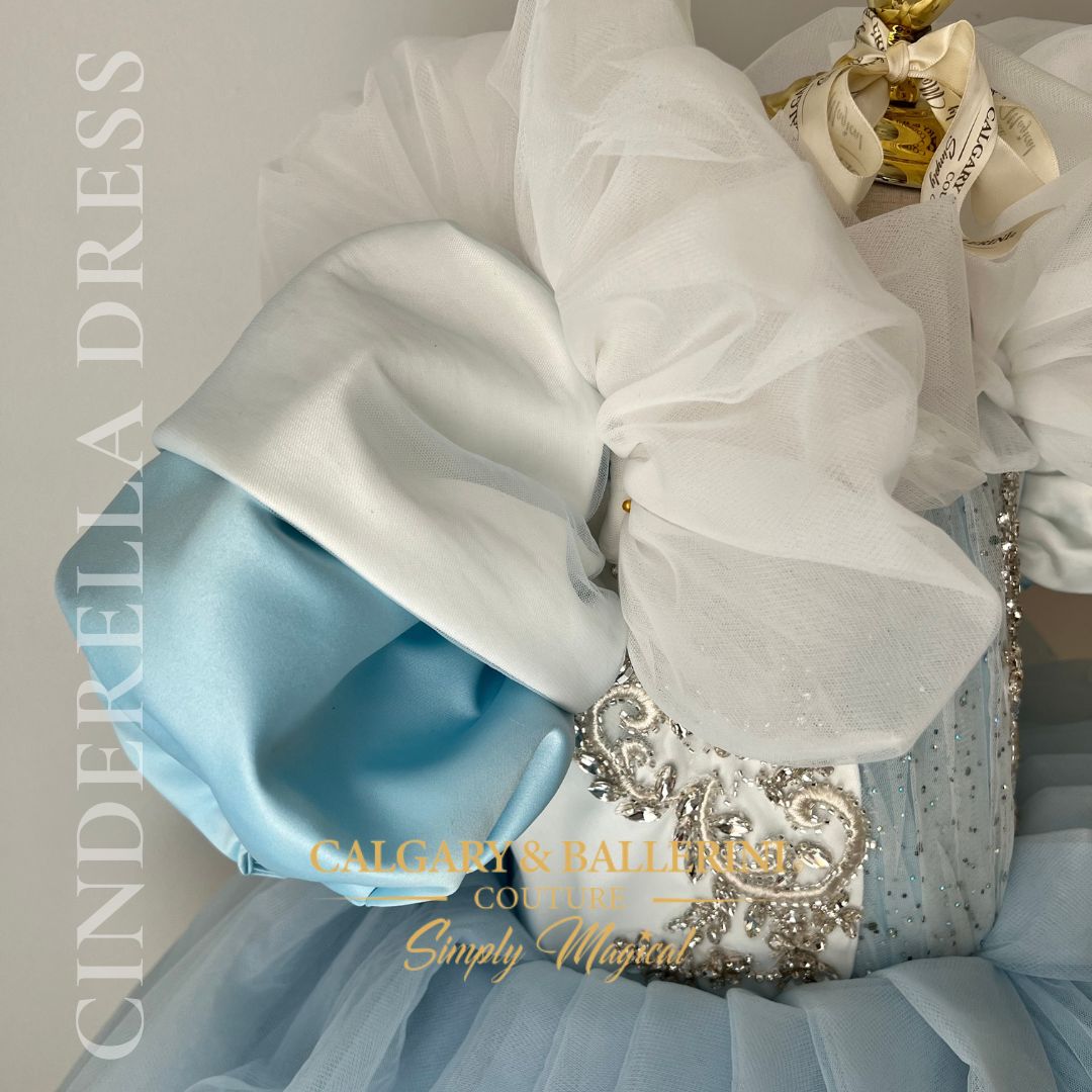 Royal Carousel Twirl Dress by Calgary and Ballerini