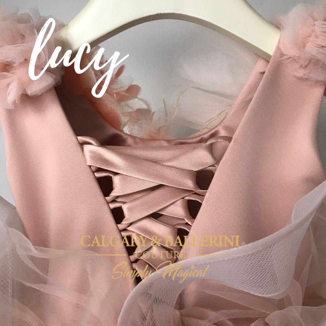 Lucy Dress | Tutu Dress Ballerina  |   Pink fluffy Tutu