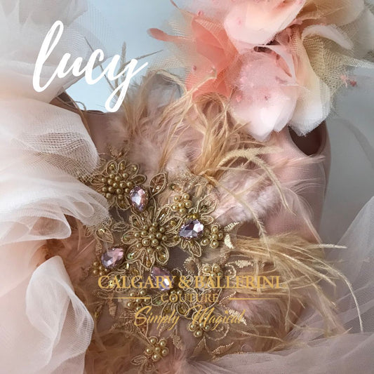 Lucy Dress | Tutu Dress Ballerina  |   Pink fluffy Tutu