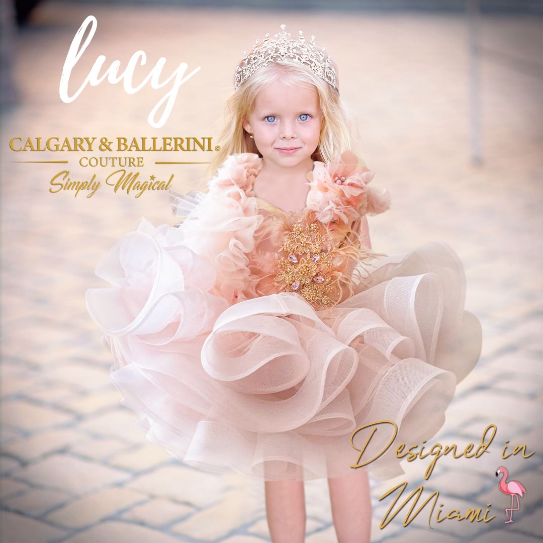 little girl wearing ballerina tutu dress personalized birthday dress 