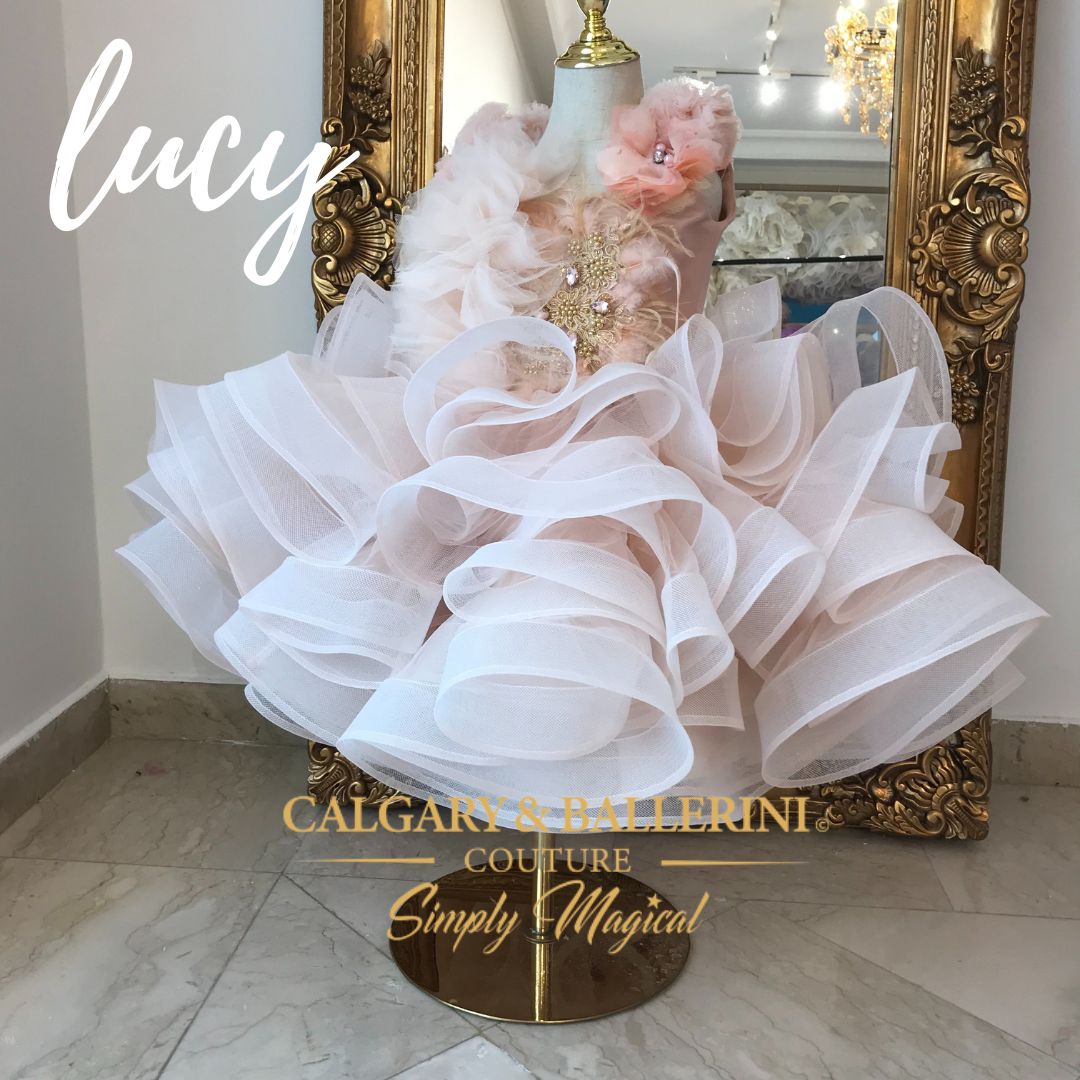 Prima Ballerina Birthday Dress by Calgary and Ballerini