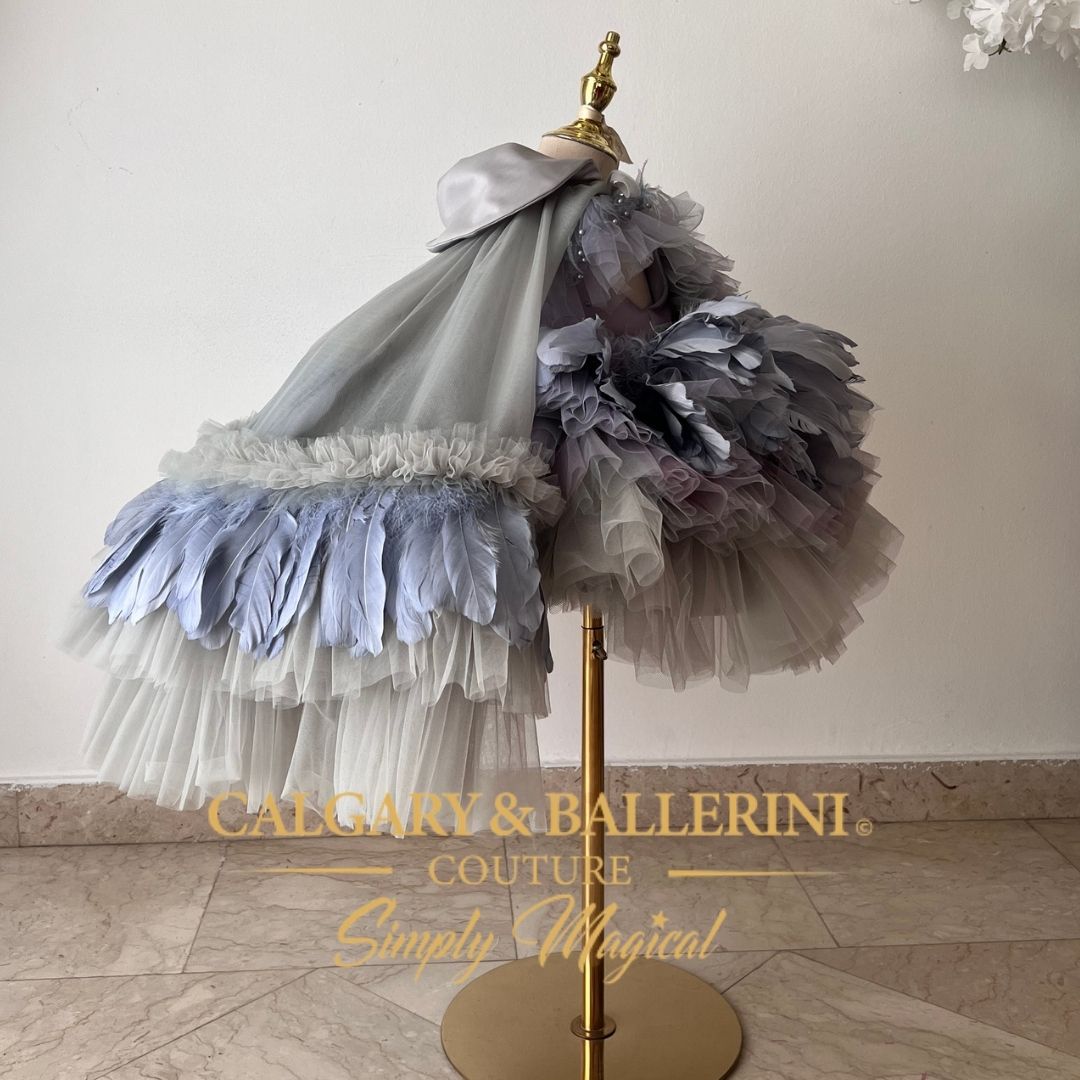One Silly Goose Birthday Party Dress by Calgary and Ballerini
