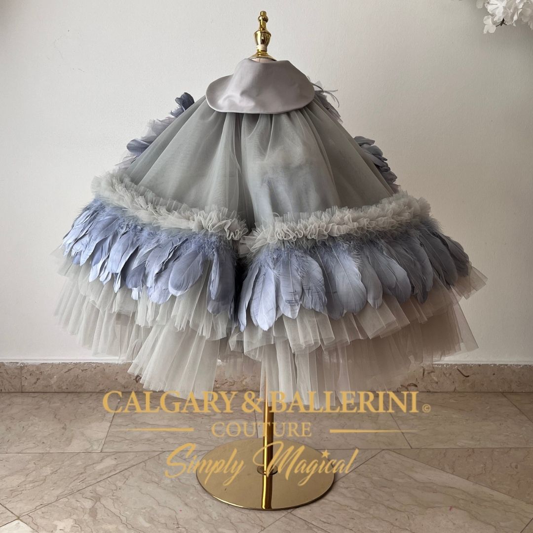 One Silly Goose Birthday Party Dress by Calgary and Ballerini