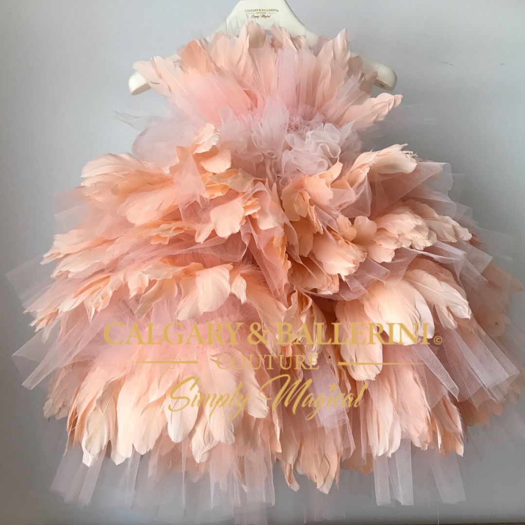 Feather Dress Peach Baby Floor-Length 1st Birthday Gown Calgary