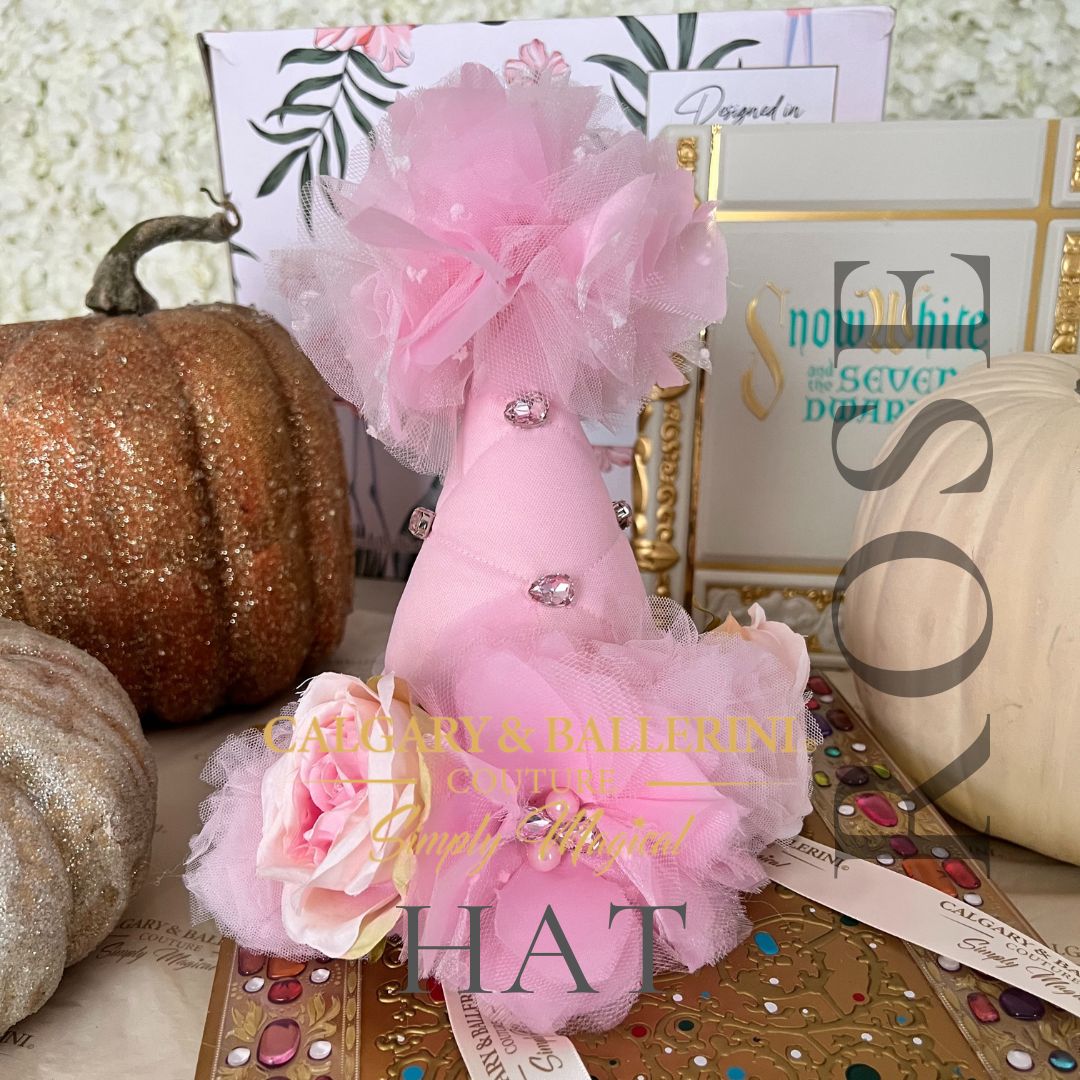 birthday party dress pink with party hat 