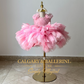 First Birthday Dress Pink Feather (Ages 1–8 yrs) Kids Party Dress