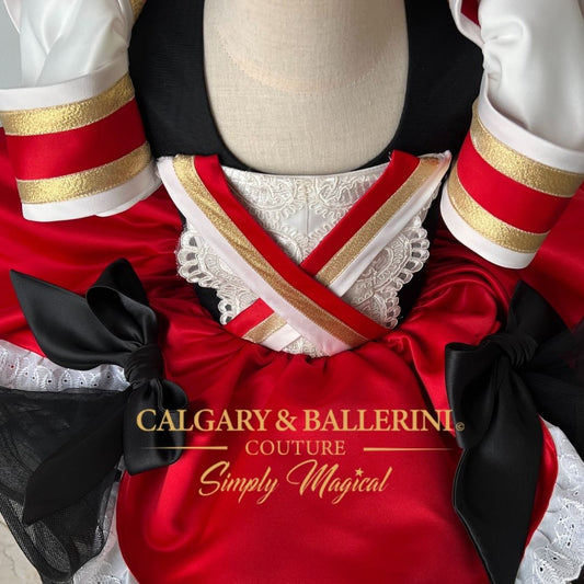 Swashbuckler Pirate Couture Dress Toddlers