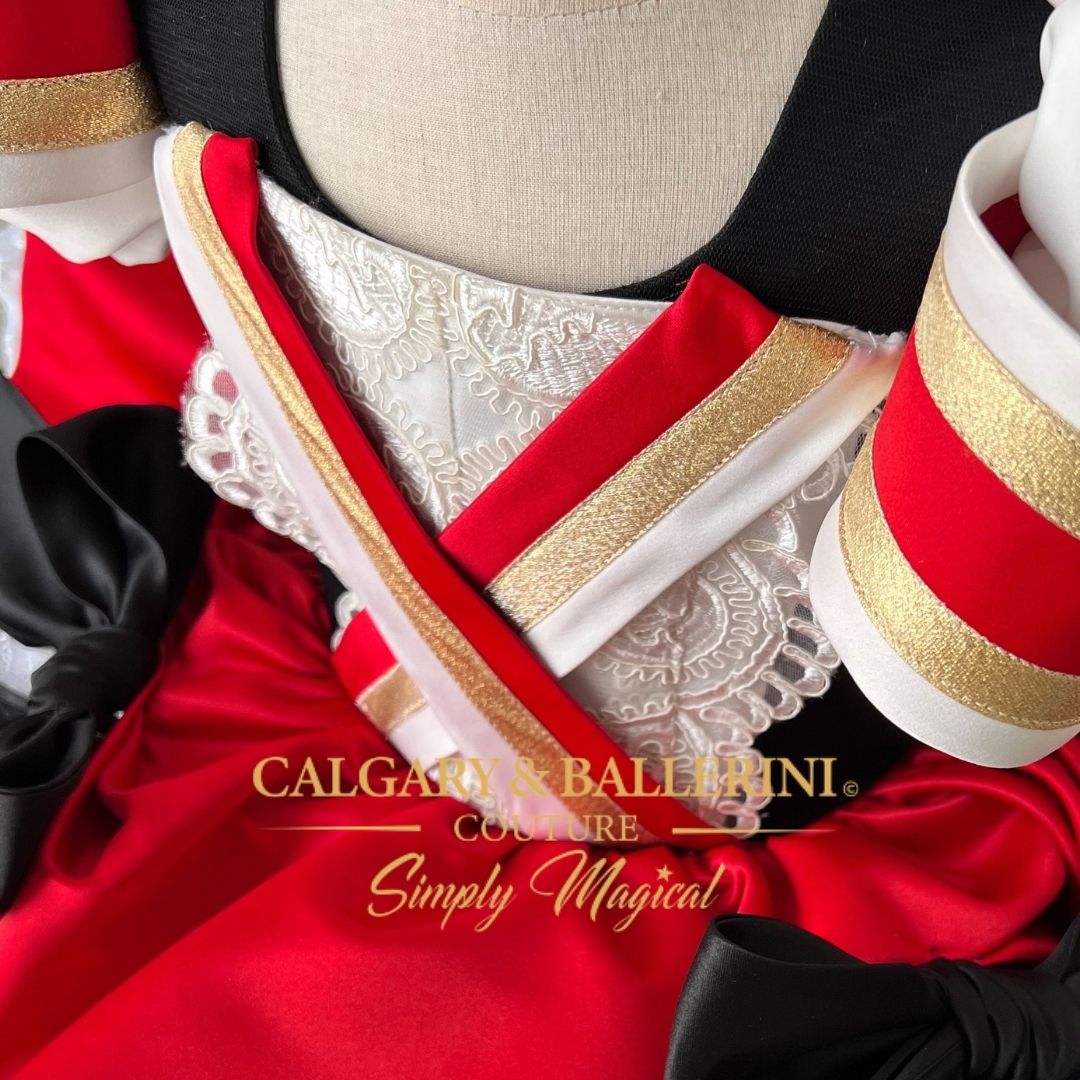 Swashbuckler Pirate Couture Dress Toddlers