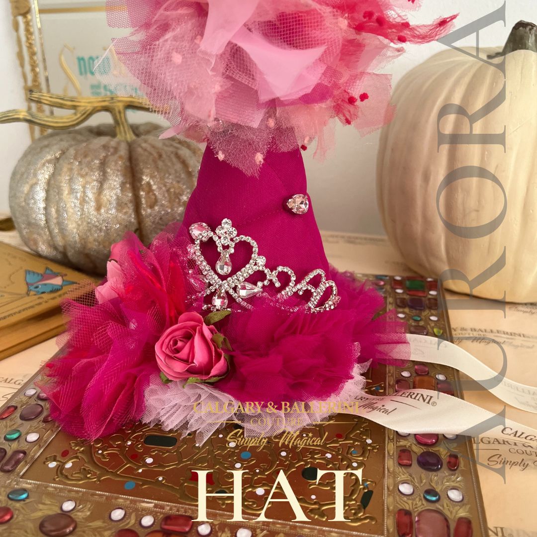 Birthday Party Hat Princess  Sleeping Beauty   |  Princess Party Hats