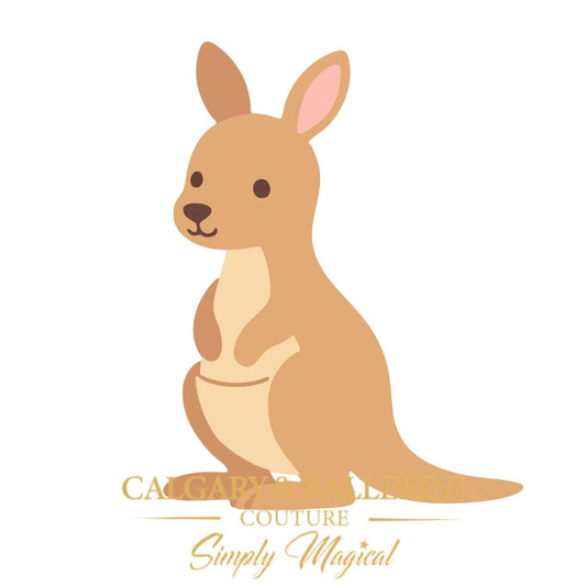 Boys Roo ( Kangaroo ) Romper and Onesie with birthday party hat