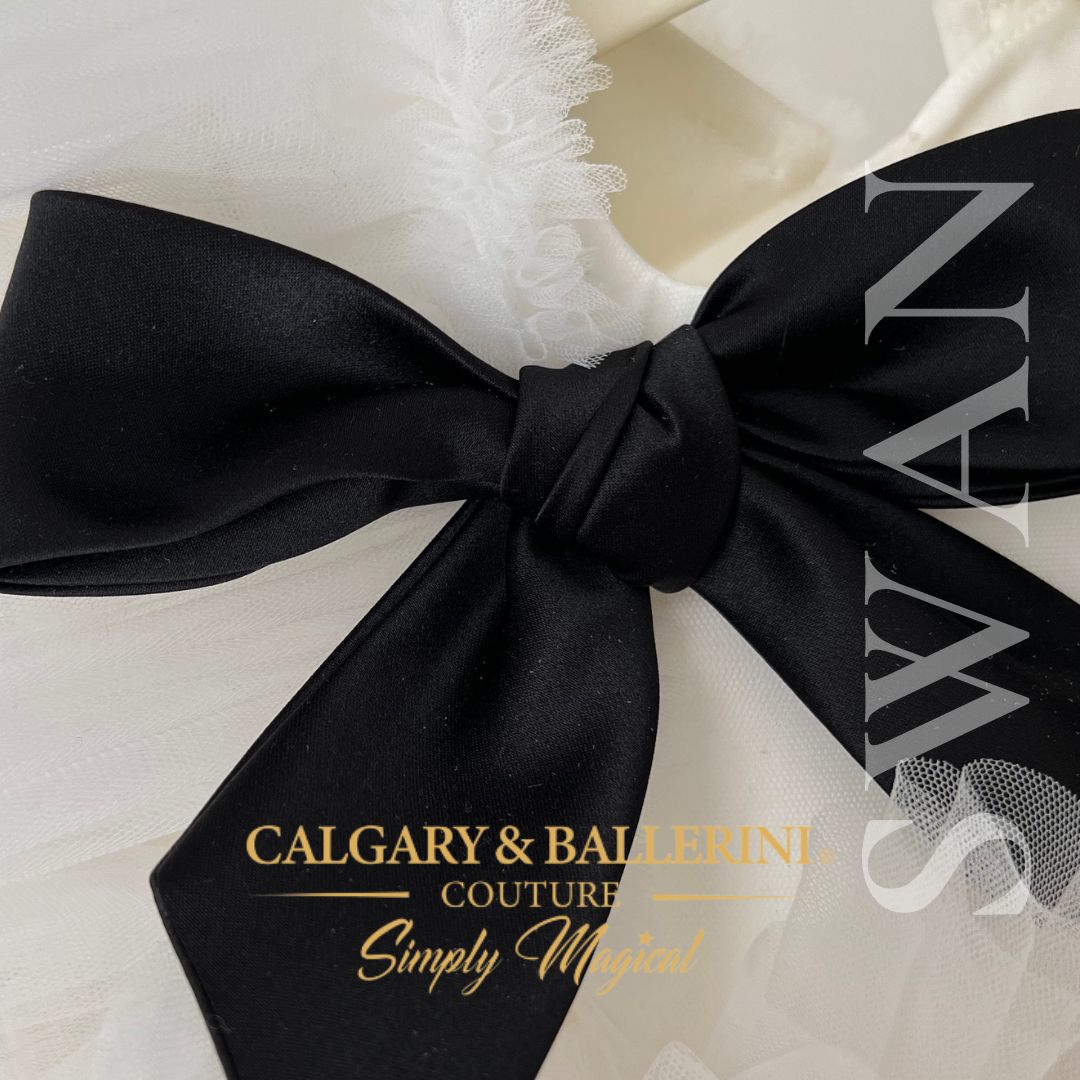 Order swan princess dress for luxury birthday parties by  Calgary and Ballerini Trusted by Moms in 85 countries with ⭐⭐⭐⭐⭐ 1,500+ reviews. 21 years of excellence