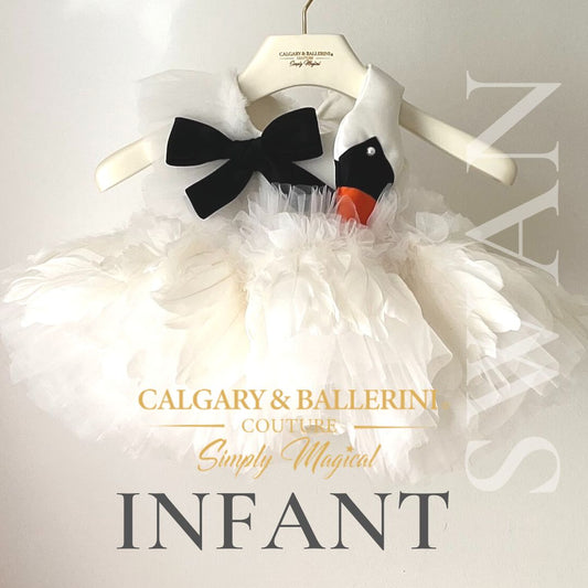 Where to Buy the Perfect Swan Lake First Birthday Dress? Planning an Ballerina swan themed birthday Party? Looking for a character themed ballerina birthday dress?  Discover the best place to find adorable swan first birthday dresses for baby girls. Wondering where to buy the perfect first swan ballerina birthday dress for girls? Look no further!