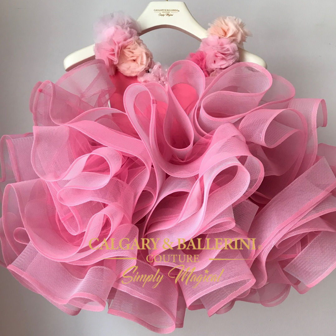 Little Girl Princess Dresses