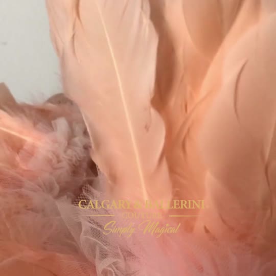 #tolstoy-video-preview-https%3A%2F%2Fcdn.shopify.com%2Fs%2Ffiles%2F1%2F0484%2F0410%2F3319%2Ft%2F10%2Fassets%2Fb63f86b7-9fc3-4400-a882-91e08989fc76.mp4%3Fv%3D1673504509