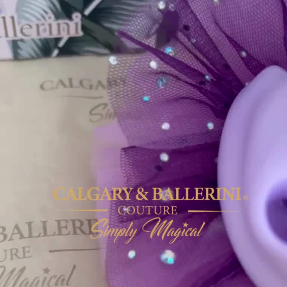 #tolstoy-video-preview-https%3A%2F%2Fvideos.gotolstoy.com%2Fpublic%2Fd1c0b1f4-5b7d-4d5c-a3d4-03f50eeab80c%2Fa2ad9d81-0ed7-471d-9252-2383db3f9d91%2Fa2ad9d81-0ed7-471d-9252-2383db3f9d91.mp4