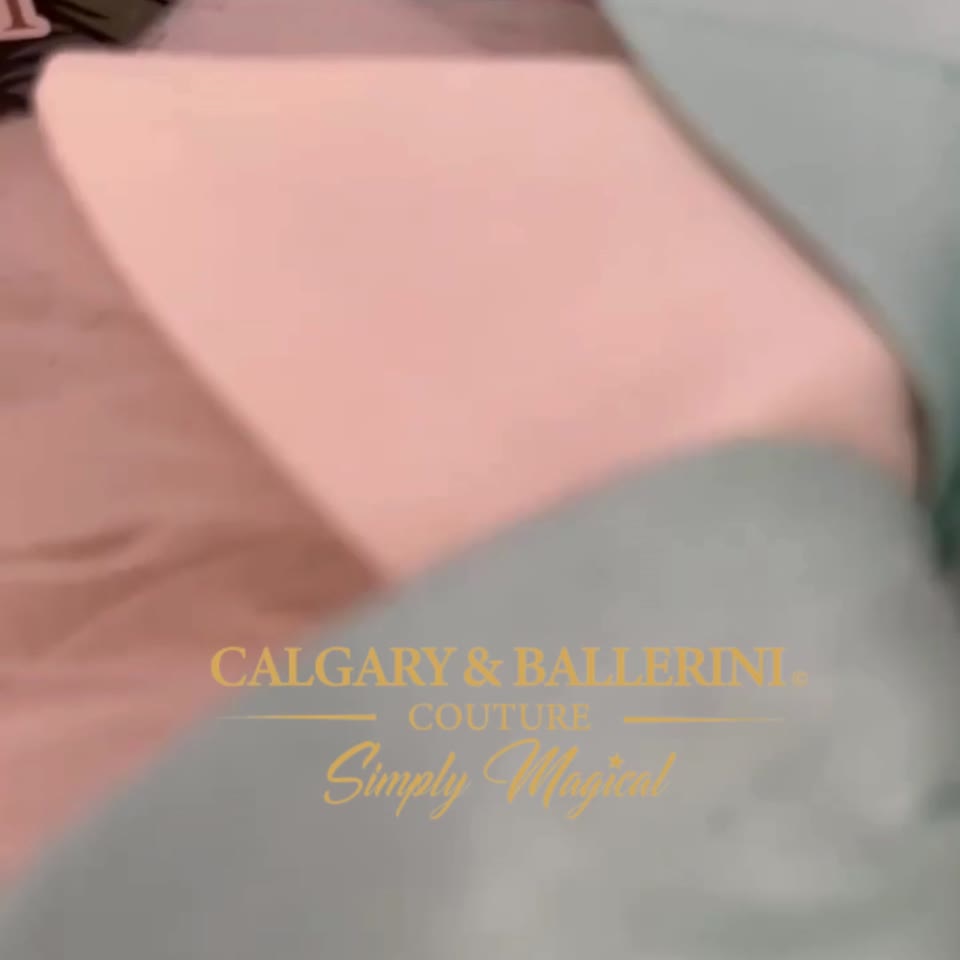 #tolstoy-video-preview-https%3A%2F%2Fvideos.gotolstoy.com%2Fpublic%2Fd1c0b1f4-5b7d-4d5c-a3d4-03f50eeab80c%2F7ff4768b-780f-49bb-b615-6bc3c8f57254%2F7ff4768b-780f-49bb-b615-6bc3c8f57254.mp4