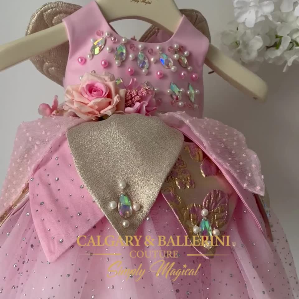 Sugar Plum Fairy Girls Birthday Dress & Gilded Golden Wings Sugar Plum Fairy Girls Birthday Dress & Gilded Golden Wings