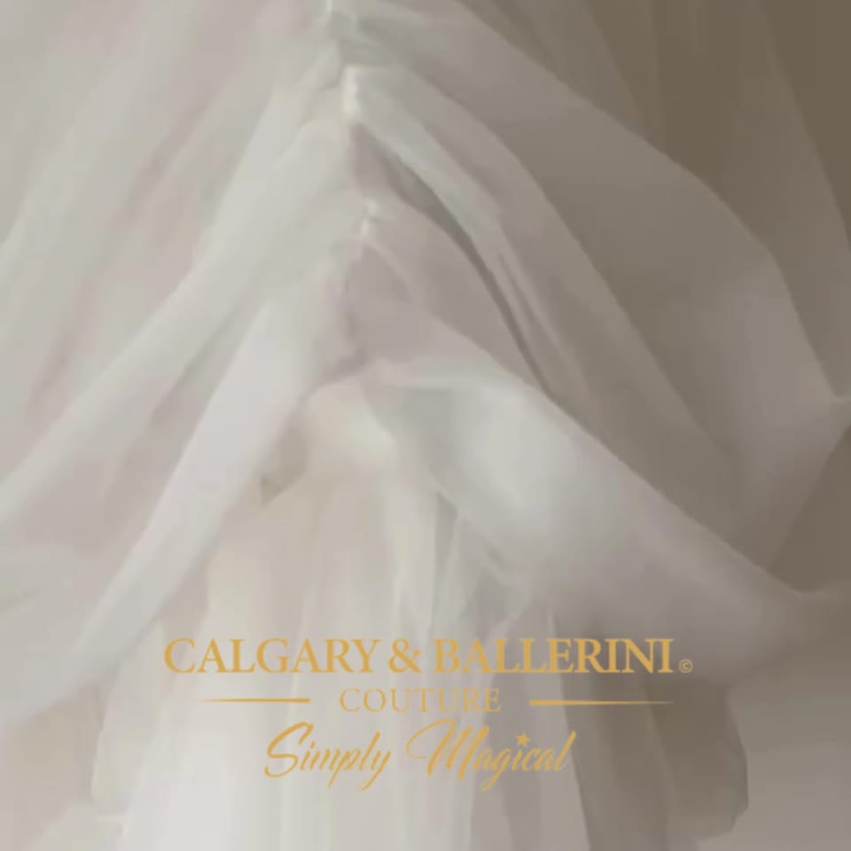 #tolstoy-video-preview-https%3A%2F%2Fvideos.gotolstoy.com%2Fpublic%2Fd1c0b1f4-5b7d-4d5c-a3d4-03f50eeab80c%2Faaeb4efb-32cc-413f-8f4d-72d3b7442f30%2Faaeb4efb-32cc-413f-8f4d-72d3b7442f30.mp4