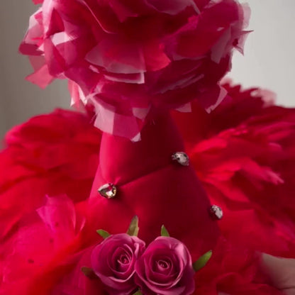 #tolstoy-video-preview-https%3A%2F%2Fvideos.gotolstoy.com%2Fpublic%2Fd1c0b1f4-5b7d-4d5c-a3d4-03f50eeab80c%2F9f569803-b63c-4c3b-92a1-8c0f9a6c8198%2F9f569803-b63c-4c3b-92a1-8c0f9a6c8198.mp4