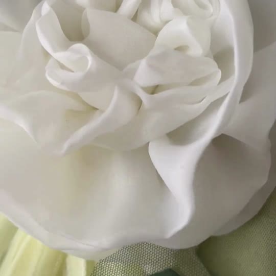 #tolstoy-video-preview-https%3A%2F%2Fvideos.gotolstoy.com%2Fpublic%2Fd1c0b1f4-5b7d-4d5c-a3d4-03f50eeab80c%2Fee16842c-0e29-45f6-afed-6acc1bb49d81%2Fee16842c-0e29-45f6-afed-6acc1bb49d81.mp4