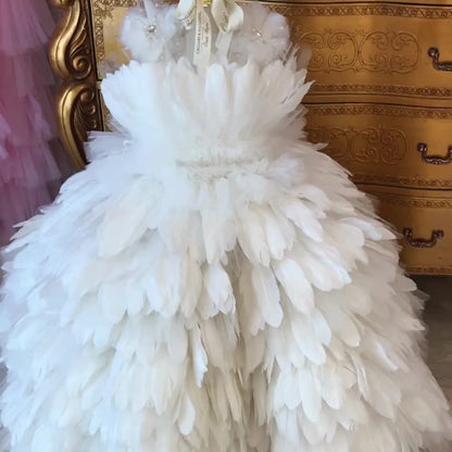 #tolstoy-video-preview-https%3A%2F%2Fvideos.gotolstoy.com%2Fpublic%2Fd1c0b1f4-5b7d-4d5c-a3d4-03f50eeab80c%2Fde49febc-fff7-4fcb-b86b-92331173a37a%2Fde49febc-fff7-4fcb-b86b-92331173a37a.mp4