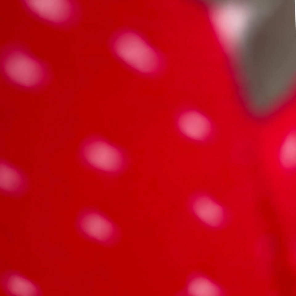 #tolstoy-video-preview-https%3A%2F%2Fvideos.gotolstoy.com%2Fpublic%2Fd1c0b1f4-5b7d-4d5c-a3d4-03f50eeab80c%2F2e3ef9ca-0e11-4cbd-b4ce-7f7cbce927f0%2F2e3ef9ca-0e11-4cbd-b4ce-7f7cbce927f0.mp4