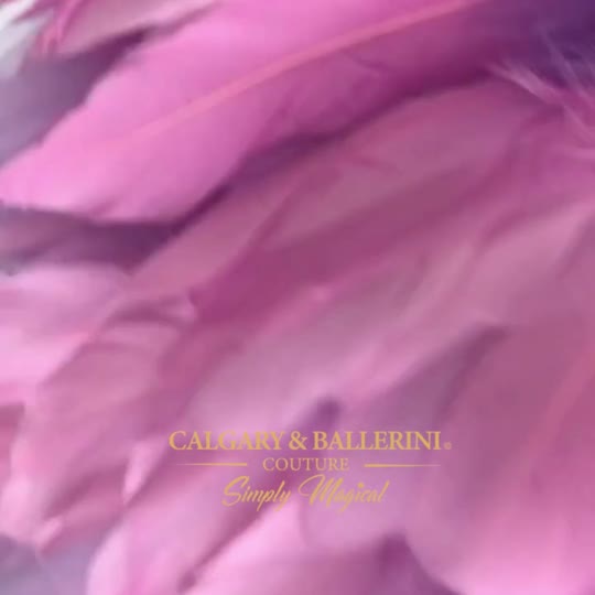 #tolstoy-video-preview-https%3A%2F%2Fcdn.shopify.com%2Fs%2Ffiles%2F1%2F0484%2F0410%2F3319%2Ft%2F10%2Fassets%2Fae2f10e1-567f-44cc-82c1-fabab5ffc055.mp4%3Fv%3D1673505660