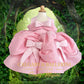 Shop Parisian Pink Royale Coquette Bow Heirloom Birthday Dress – High-End French Aesthetic Luxury Gown for Professional Milestone Photography, Calgary and Ballerini.
