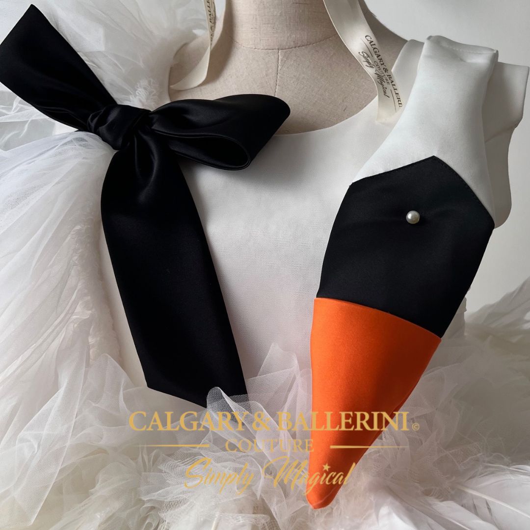 Buy White Feather Swan Dress for Mother and Daughter – Ethereal Heirloom Gown for High-End Family Photoshoots, Calgary and Ballerini.