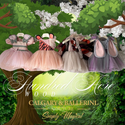 $4,000 Designer Girls "Hundred Acre" Vintage Storybook Matching Sets