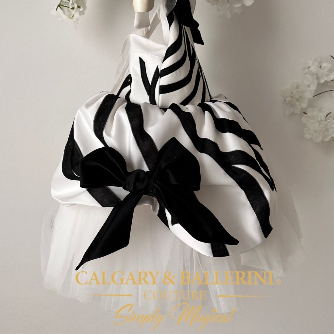 Wild ONE Zebra Birthday Dress