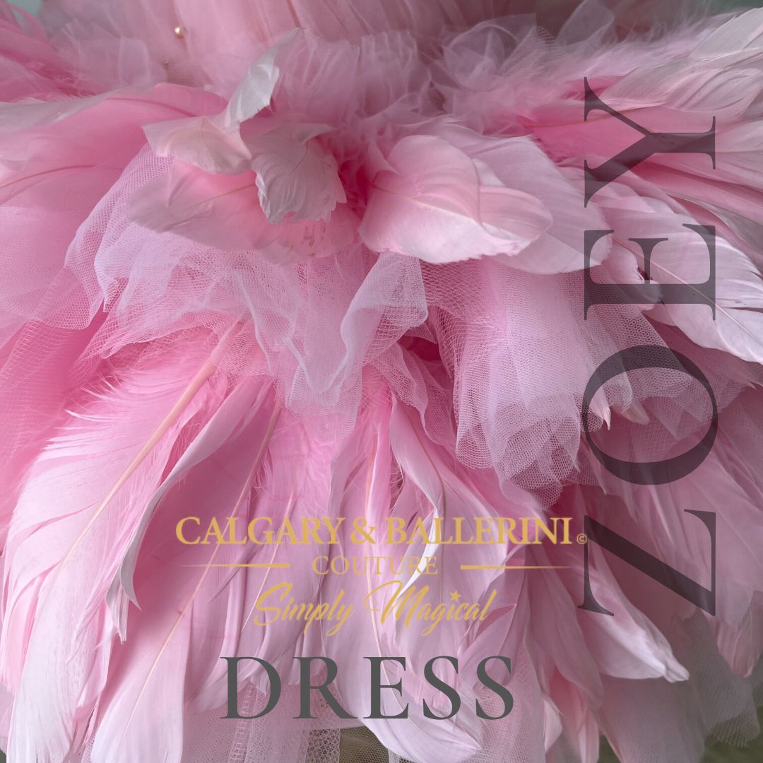 Petal Charm: The Zoey Pink Blush Feather Dress
