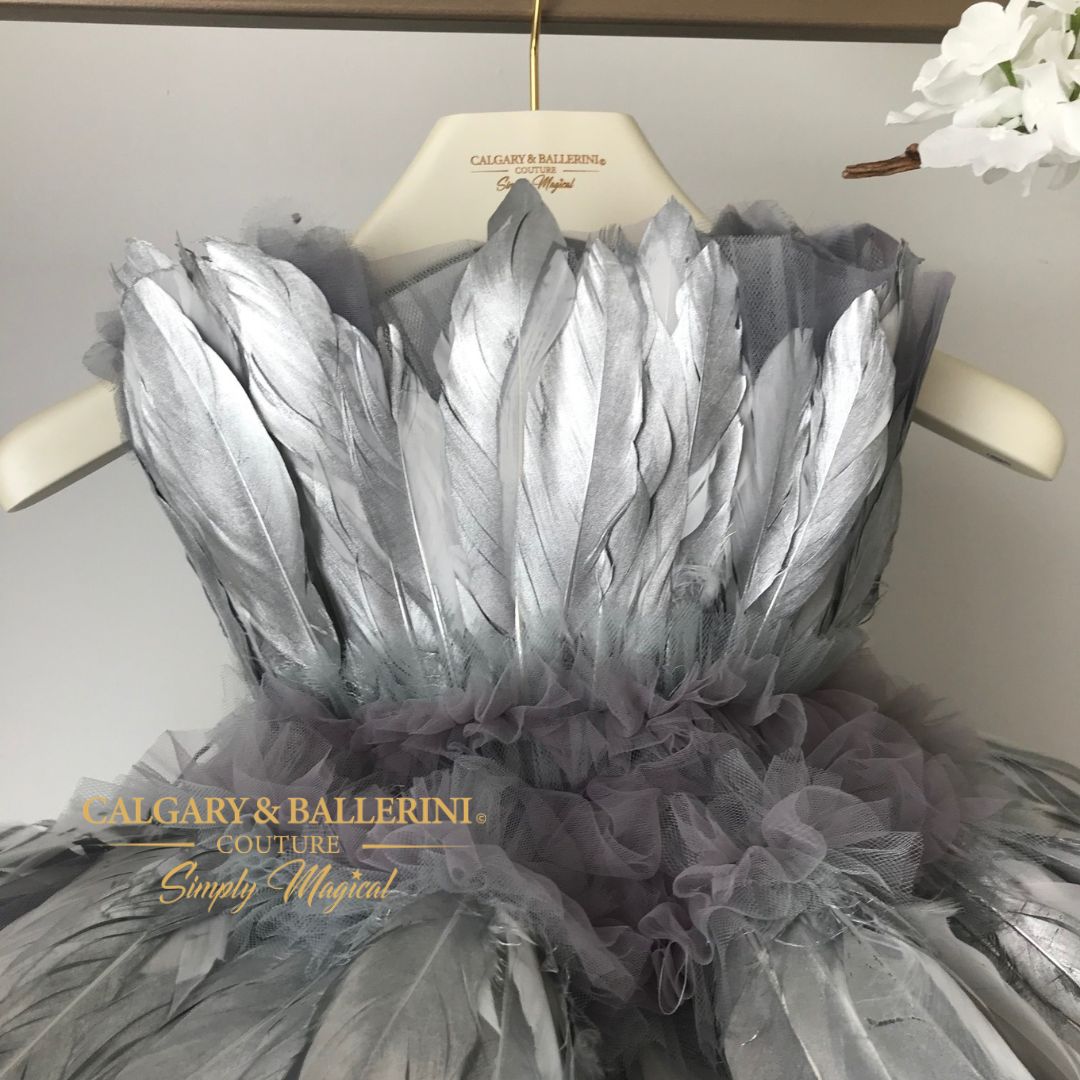 close up bodice with silver feathers 