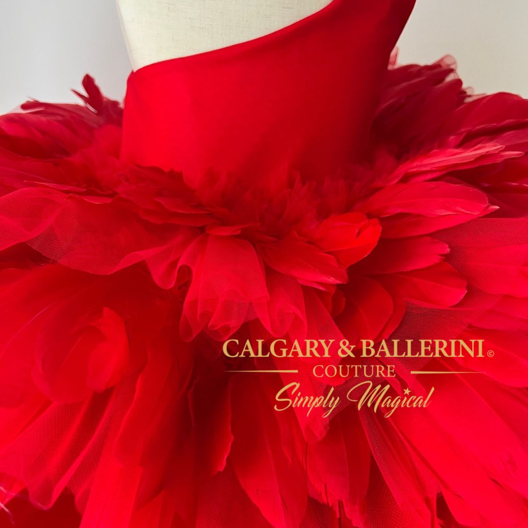adorn a red feather dress to commemorate a 5th birthday in style! The Florence tutu red dress, fashioned with a stunning goose feather tulle skirt and horsehair braid combination along with an off the shoulder satin bodice, will bring the grace and beauty of a ballerina 