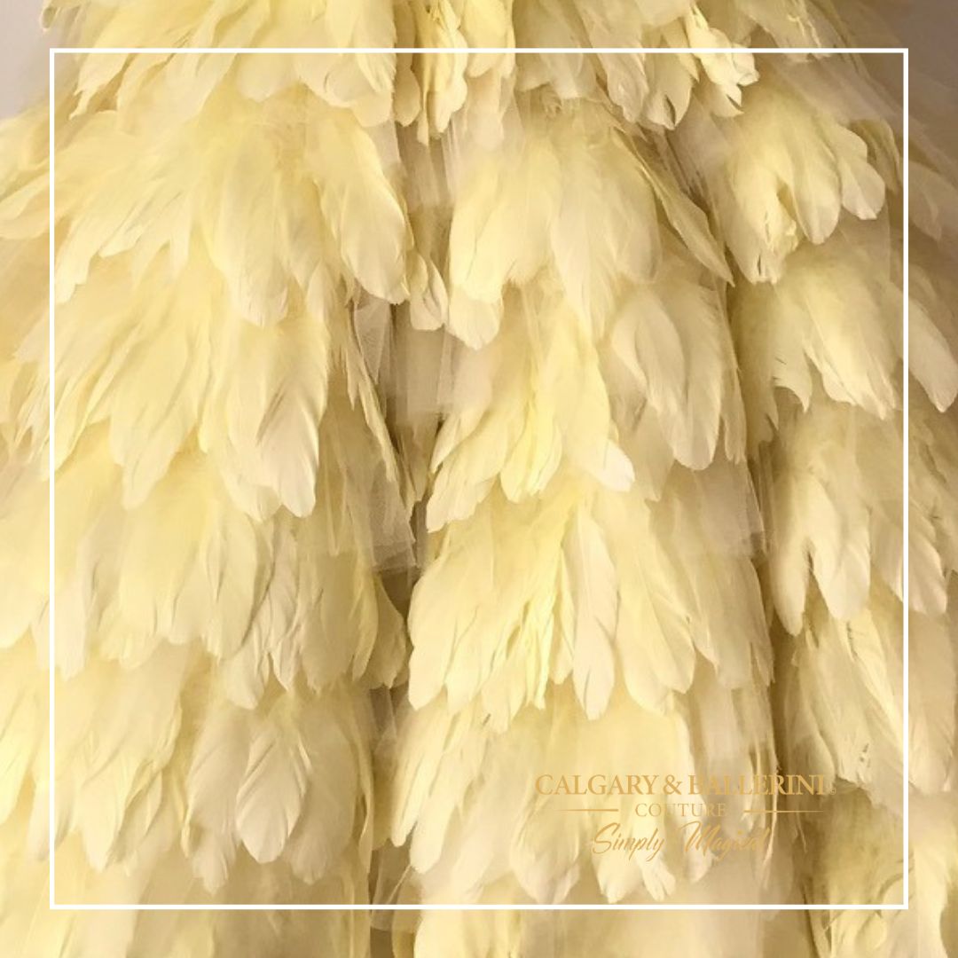close up of skirt yellow goose feathers 